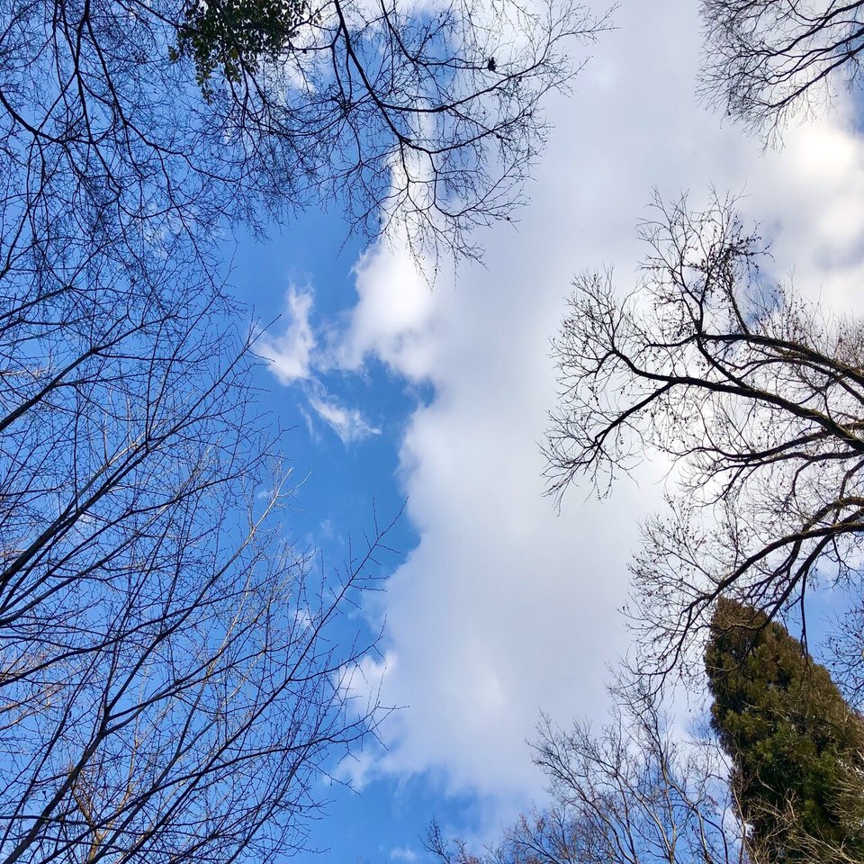 雨上がりの空に思うこと｜sane