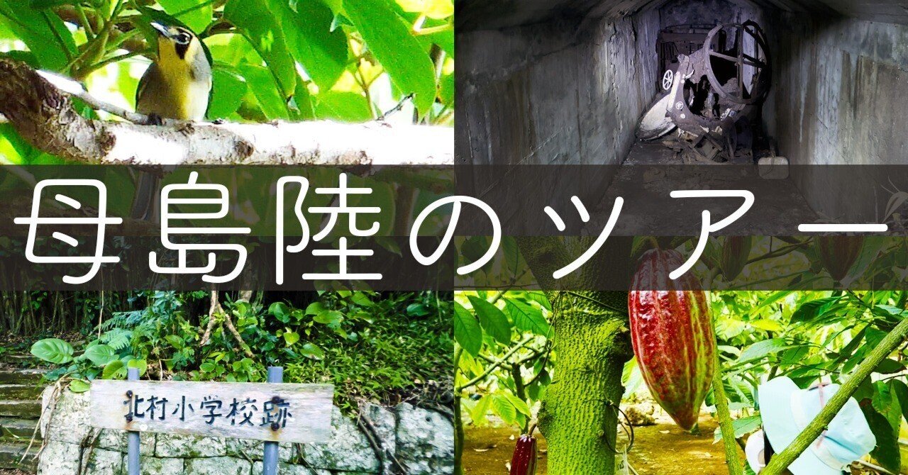 カカオ農園やメグロ探し戦跡など 小笠原母島 陸のツアー Shiro Dive Note