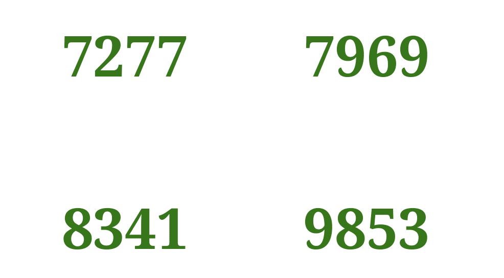 2番、5番、7番、19番、26番、28番、39番、41番 芹沢謎【891】｜芹沢仁菜