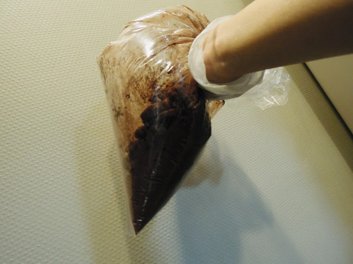 画像18
