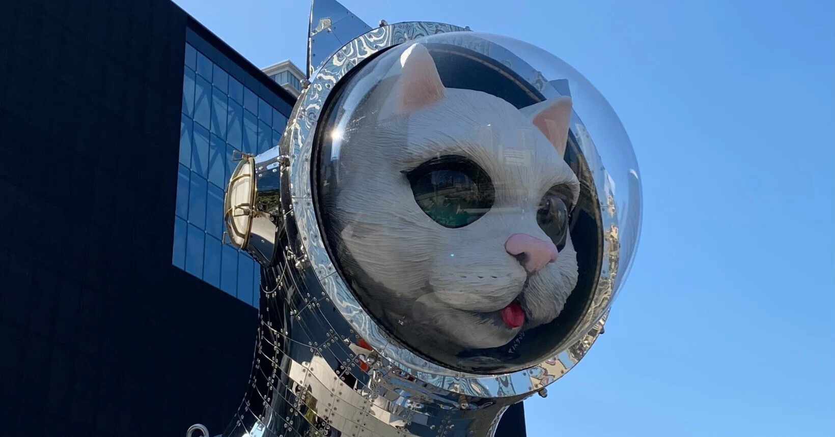 SHIP'S CAT (Muse)に逢ってきた 大阪中之島美術館開館記念 2022.3.3
