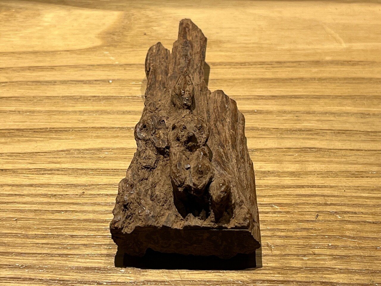 3月の推奨香木は橘つながりの二種です♪｜山田眞裕（麻布 香雅堂 主人）