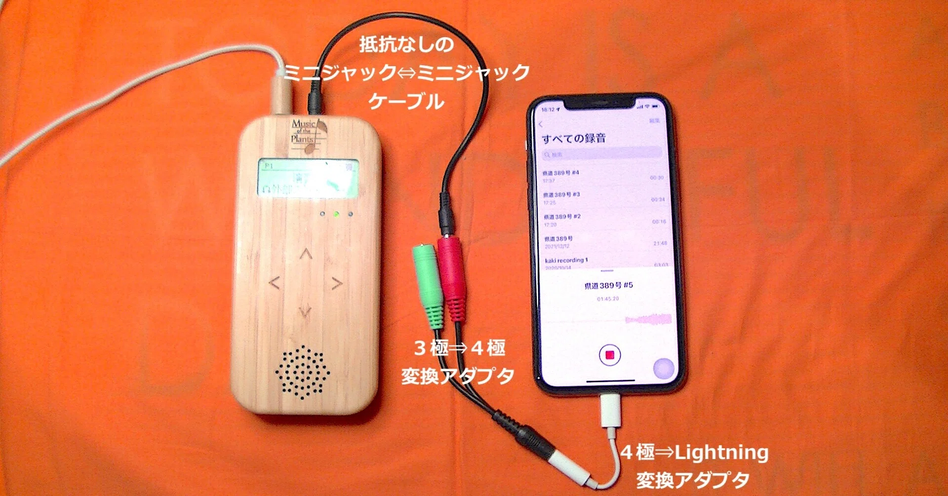 植物の音楽｜Music of the Plants 植物の音楽｜note