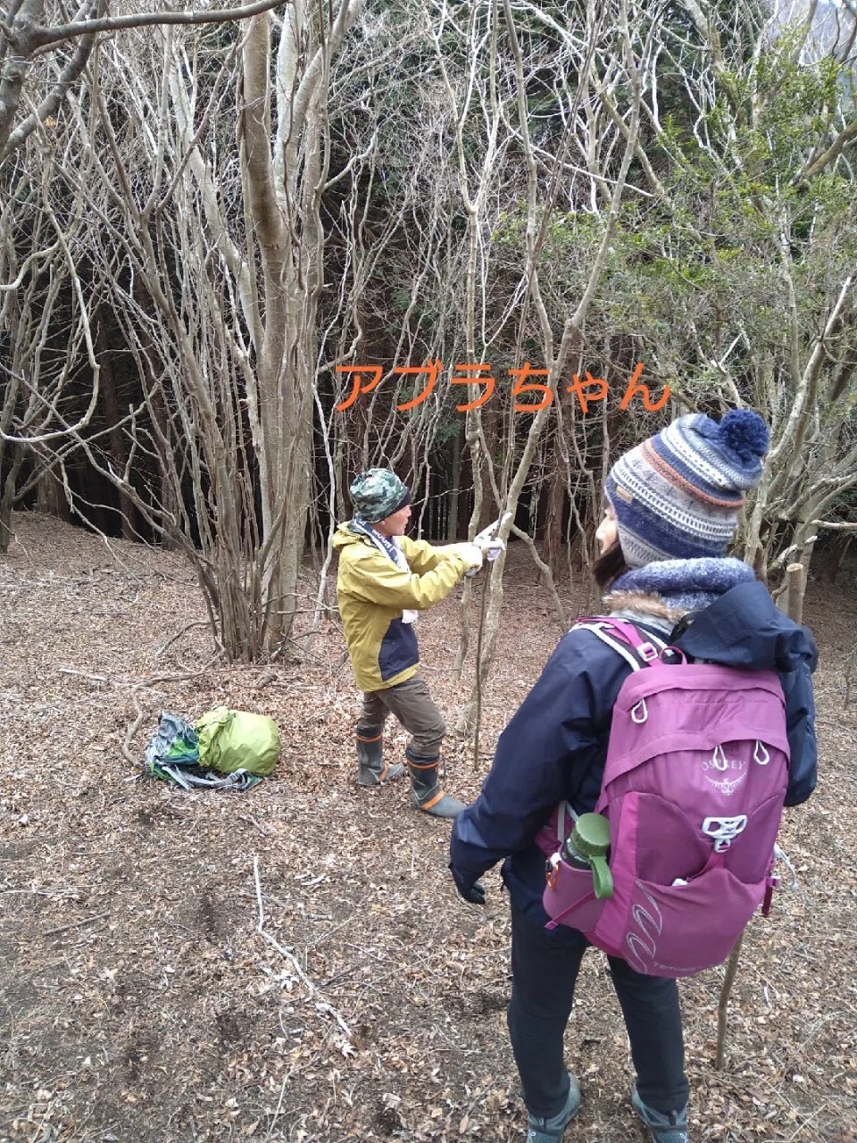 変なおじさん｜野菜と山と、時々猫