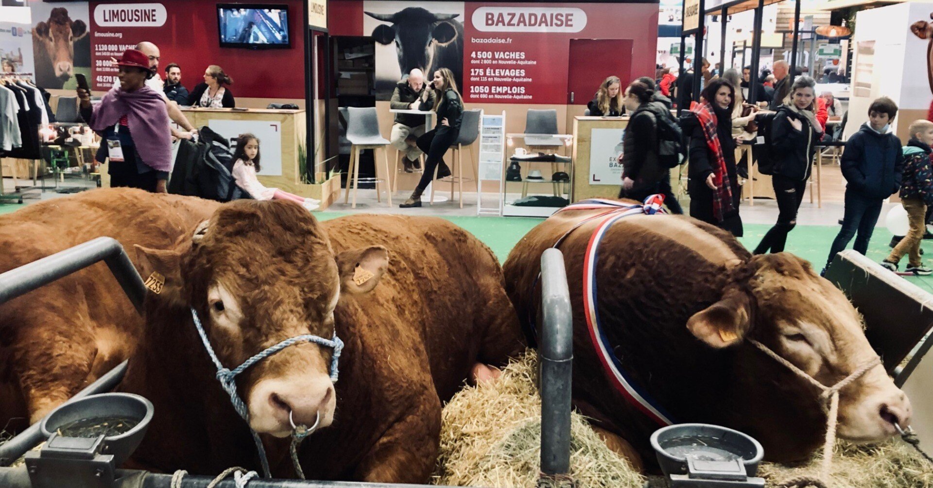 リムーザン牛 パリの国際農業見本市 フランスの週刊フードニュース 22 03 05 伊藤 文 Note