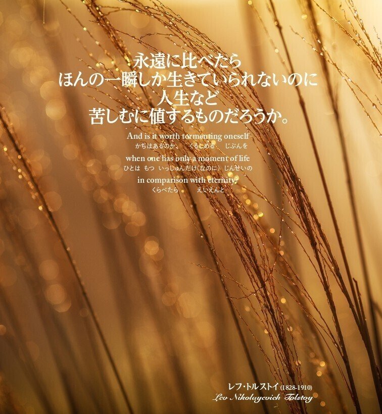 トルストイの入口 戦争と平和 福田尚弘 文学 哲学を楽しむための 入口 案内 Note