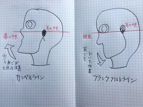 カンベルライン