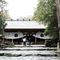 いけばな嵯峨御流 稽古日記＃112 三管筒 左旋／梅｜漱石(So_seki)