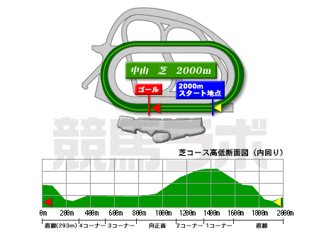 画像14