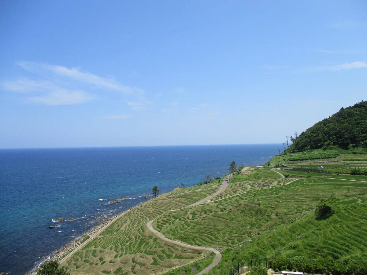 画像11