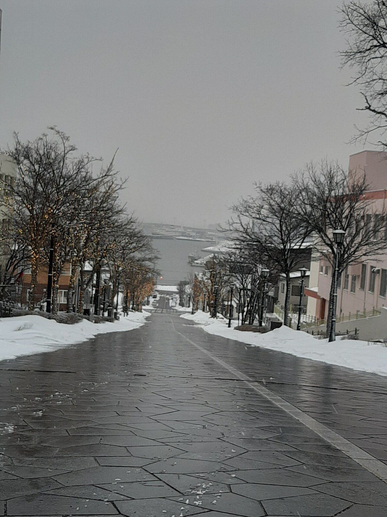 冬の函館と雪景色｜浅生柚子