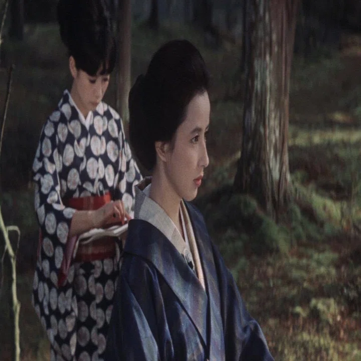 映画🎞 『美しさと哀しみと』川端康成｜murata