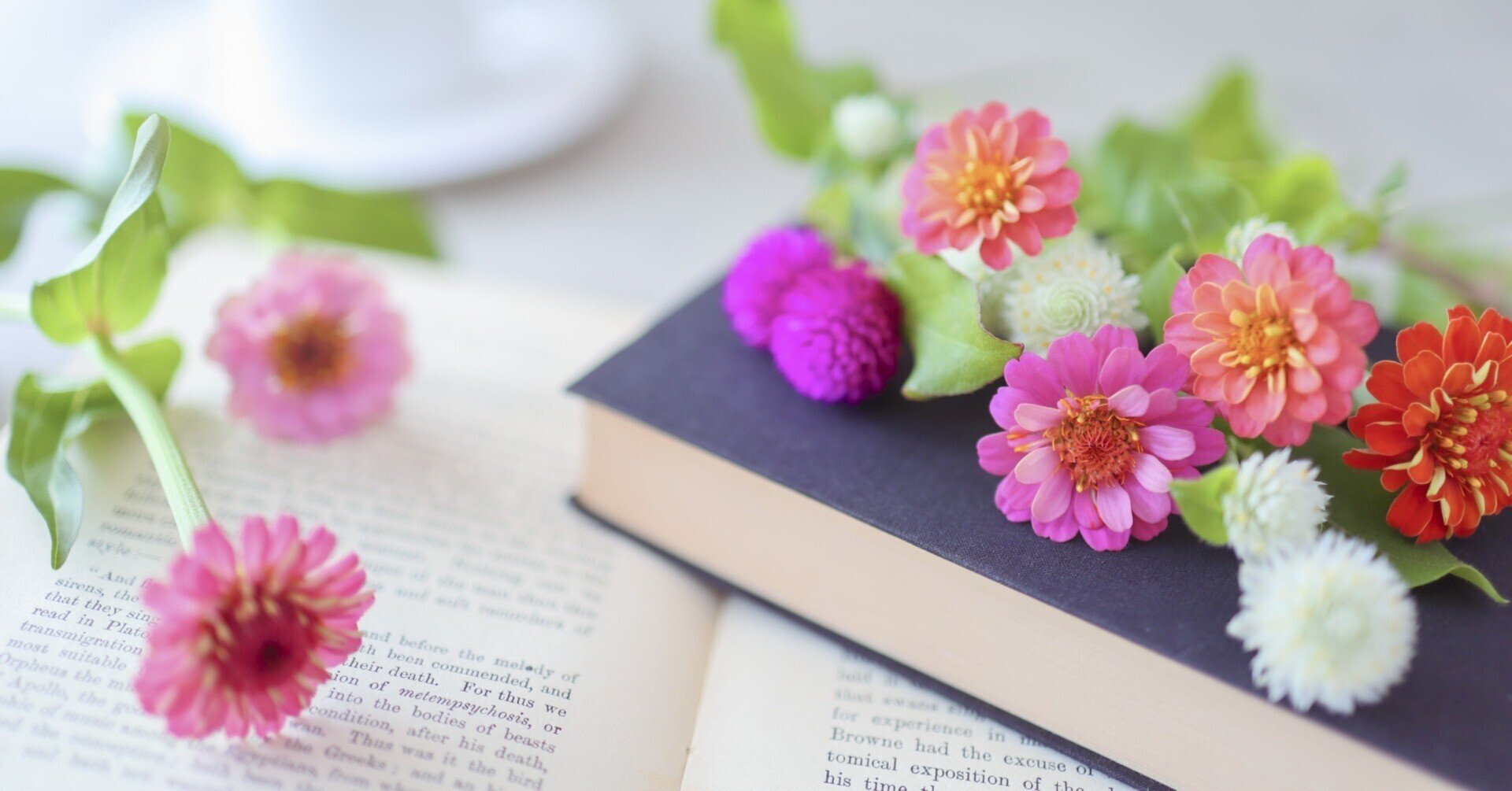 将来コン ューターおばあちゃんみたいになりたい Saki ヨカ活動 Note