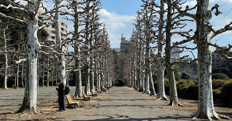 目標に向かって の新着タグ記事一覧 Note つくる つながる とどける