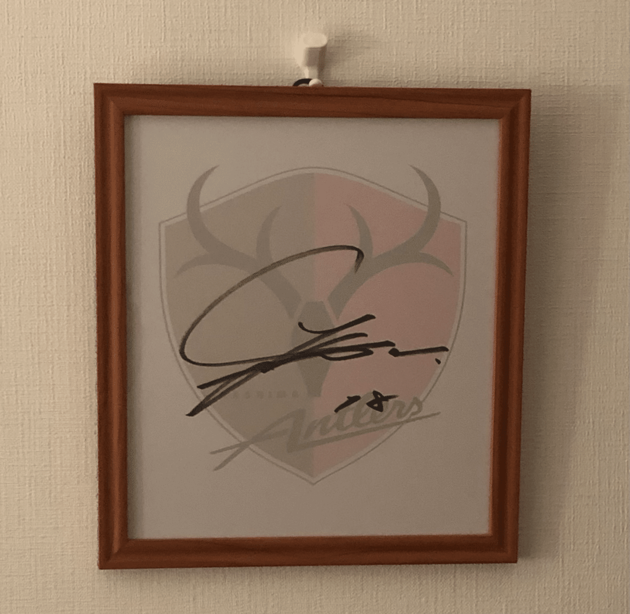 鹿島アントラーズ選手 12名 サイン色紙 鹿島アントラーズ選手 12名