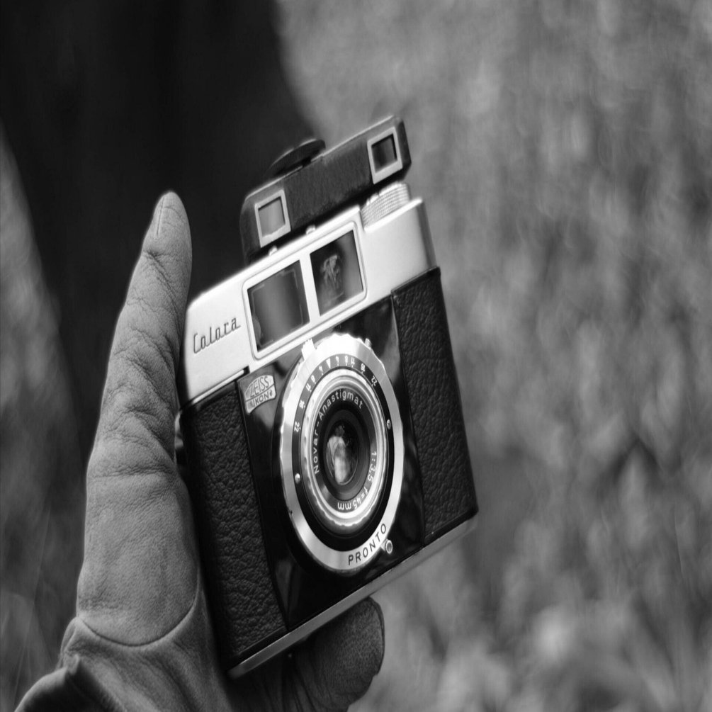 004 ZEISS IKON Colora NOVER -Anastigmat 1:3.5 f=45mm（中玉反転