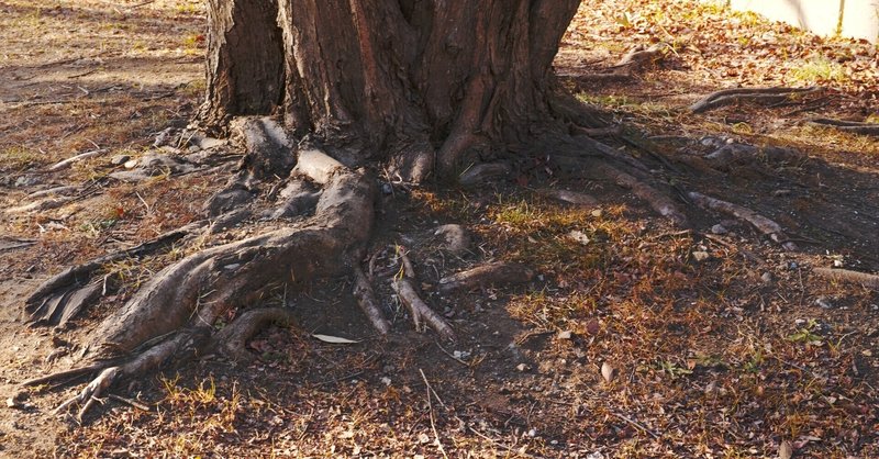 劇場版鋼の錬金術師シャンバラを征く者 の新着タグ記事一覧 Note つくる つながる とどける