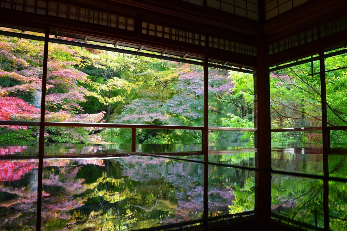 室内から景色