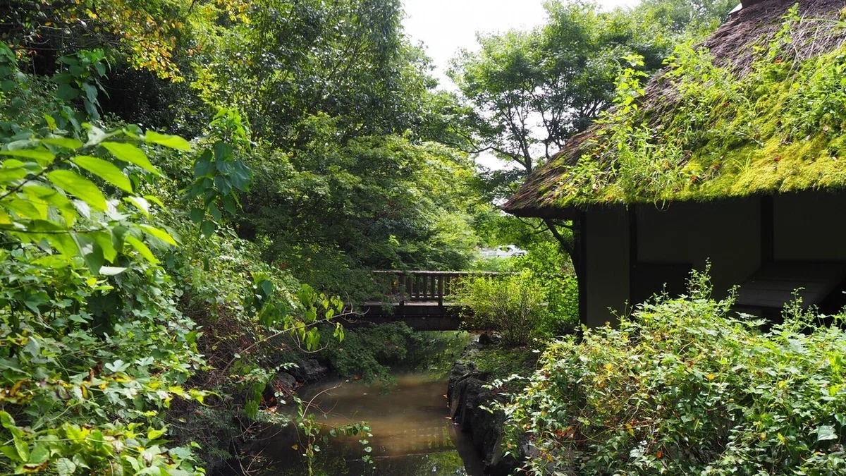 林の中の庵