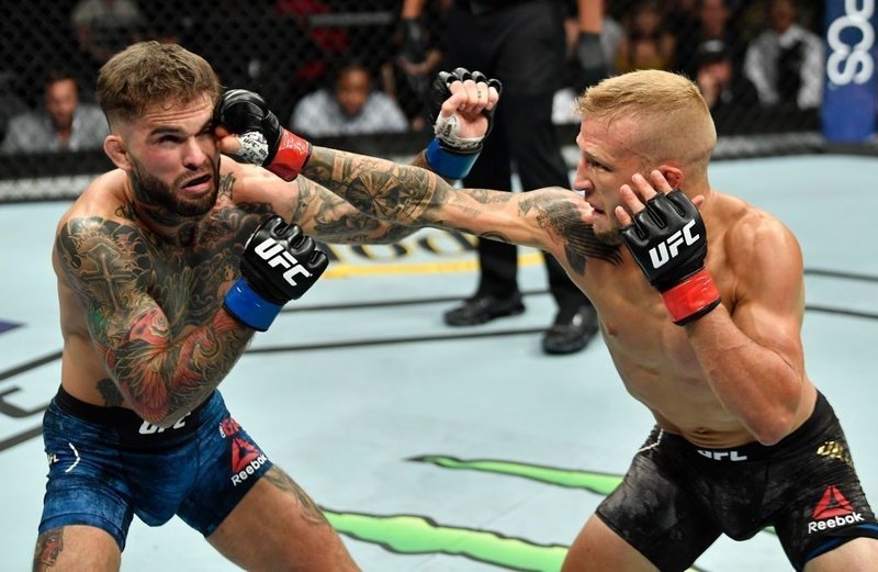 Ufc ディラショーが1r Tkoで王座防衛 セフードよ 受けて立つぞ Djは王座陥落 フライ級新王者セフード バンタム級王者と戦いたい 8連勝ペレス 佐々木憂流迦と対戦したい 8 4 Ufc ゴング格闘技 Note Ufc ディラショーが1r Tkoで王座防衛 セフードよ 受けて立つぞ Djは王座陥落 フライ級新王者セフード バンタム級王者と戦いたい 8連勝ペレス 佐々木憂流迦と対戦したい 8 4 Ufc ゴング格闘技 Note