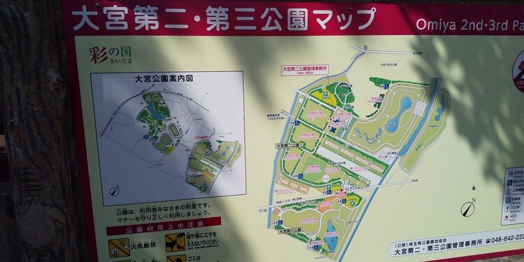 埼玉県さいたま市にある大宮公園にきました。とても広くてここは第三公園というのだそう。