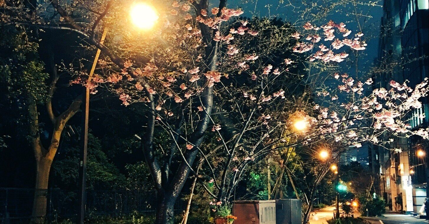 完全版】フィッシュマンズ 