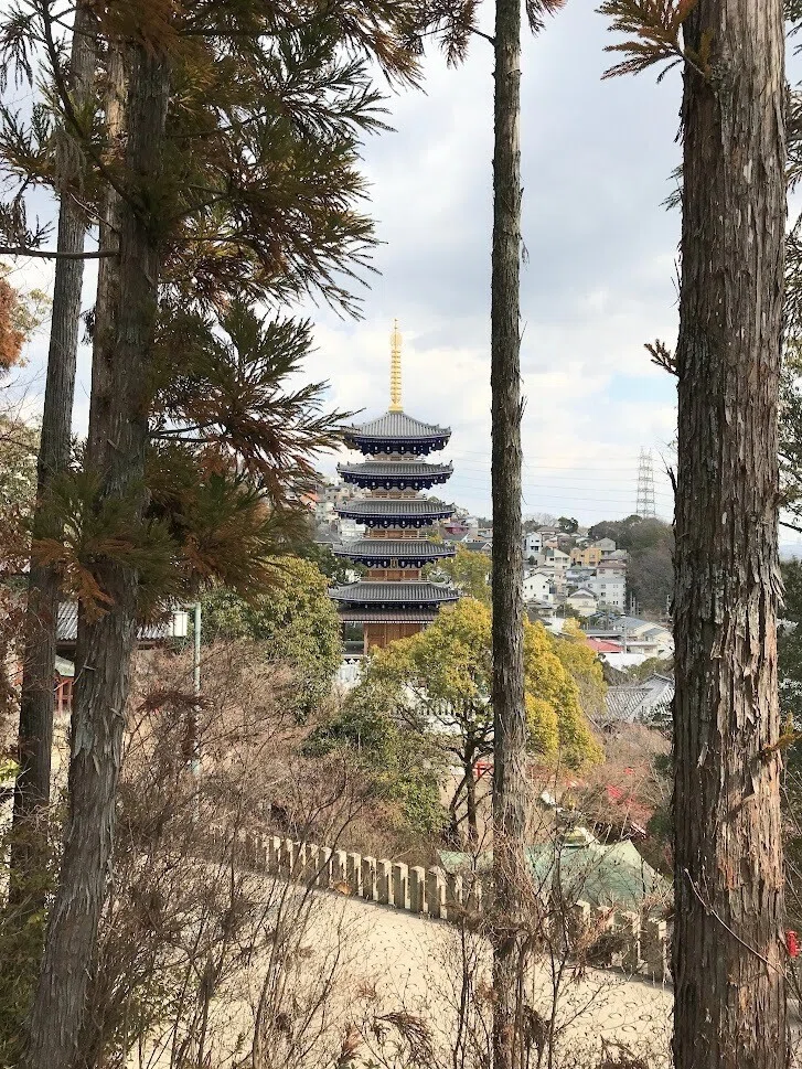 画像9