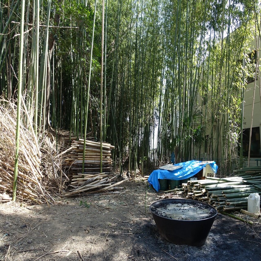 竹林整備から始まる 優しい循環 みたすくらす 東海の地産情報を地元クリエイターがお届け