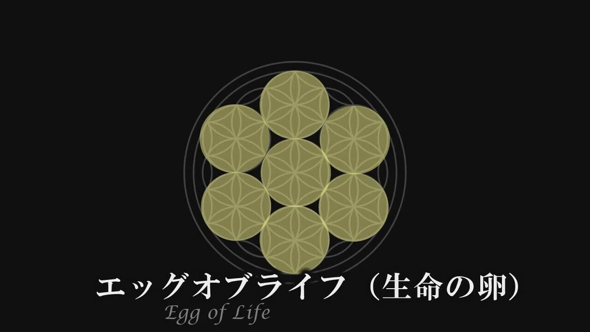 画像7