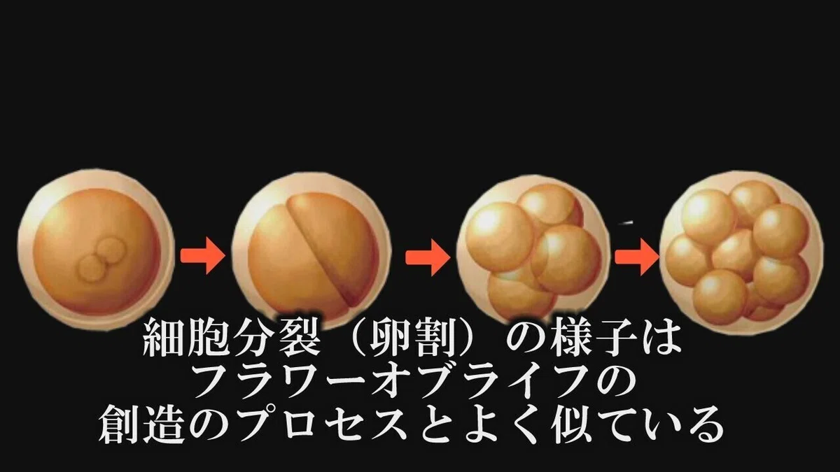 画像12