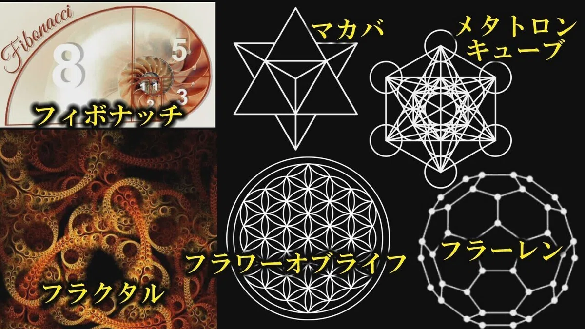 画像13