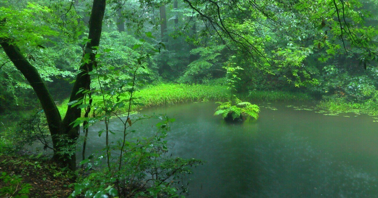 林 泉 平泉寺 御手洗池 北野武男 Note 林 泉 平泉寺 御手洗池 北野武男 Note