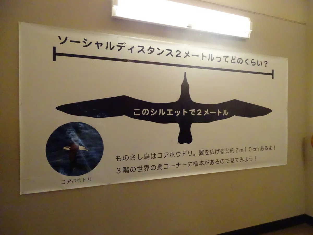 画像98