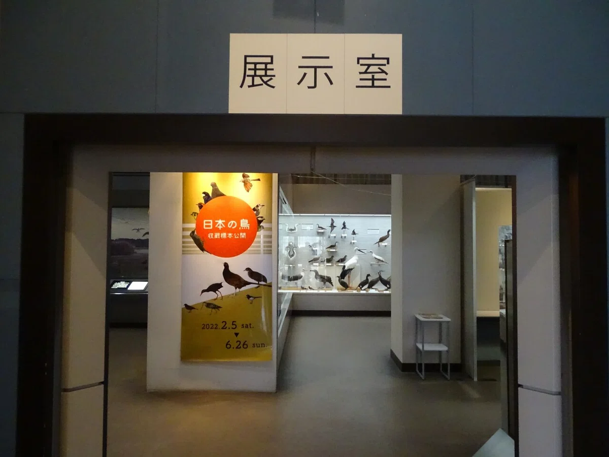 画像99