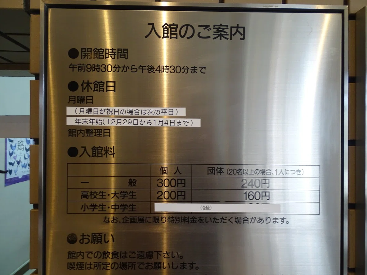 画像5