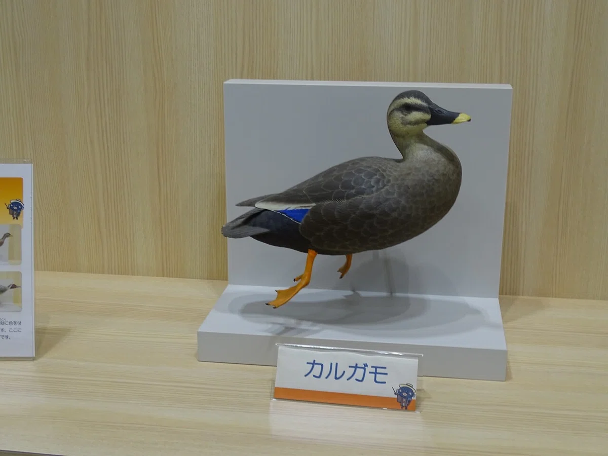 画像37