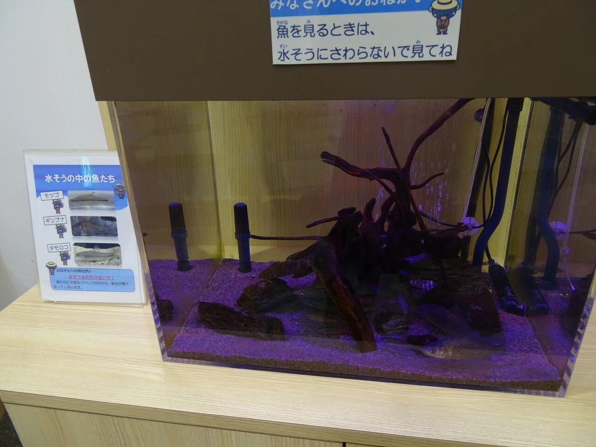 画像45