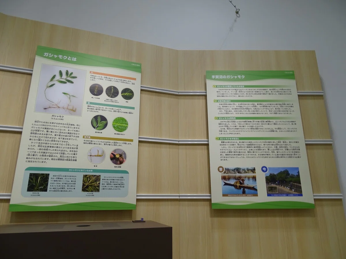 画像52