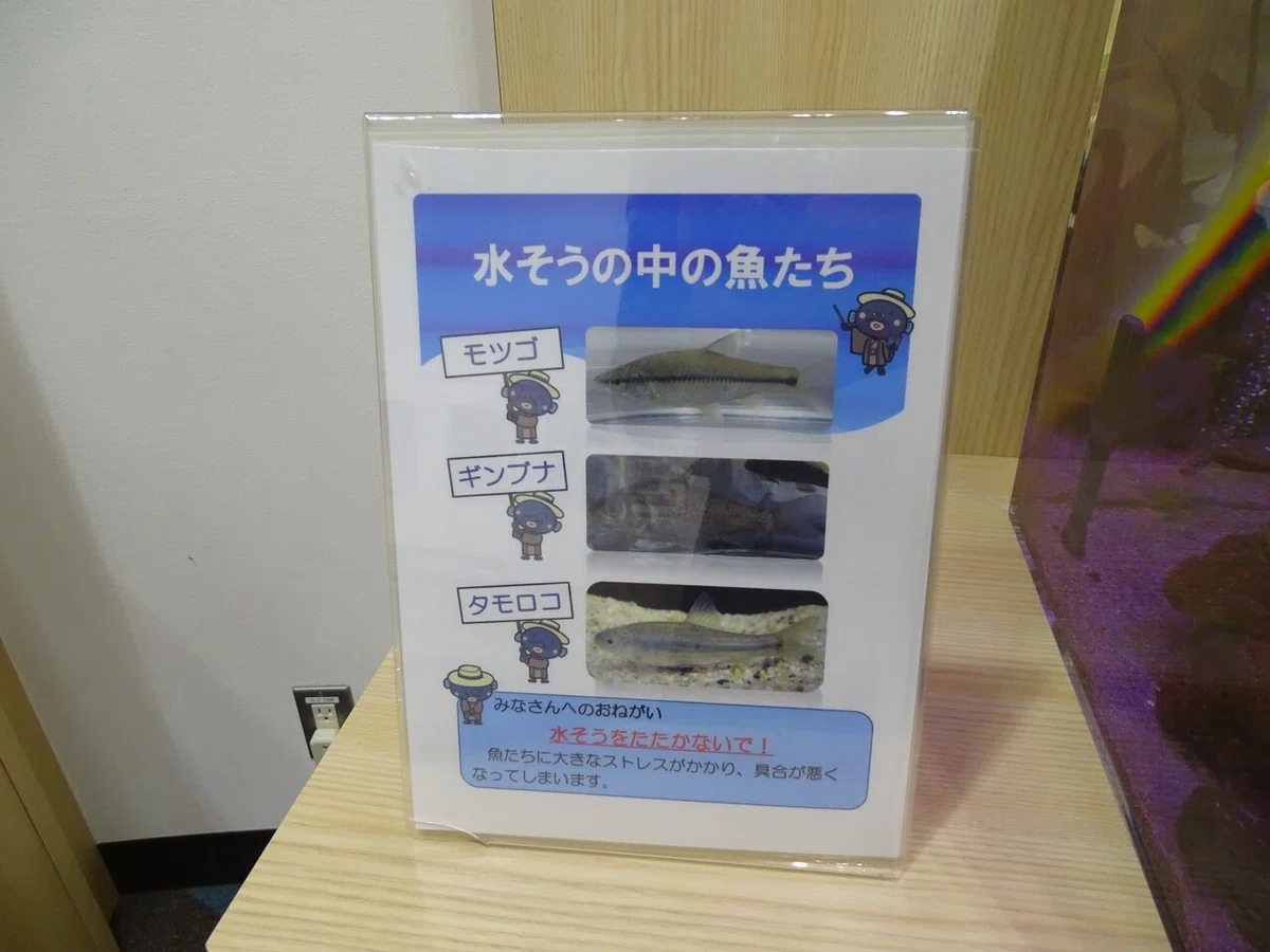 画像46