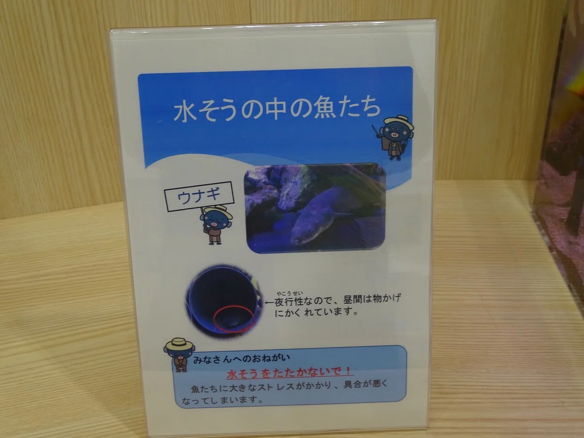 画像39