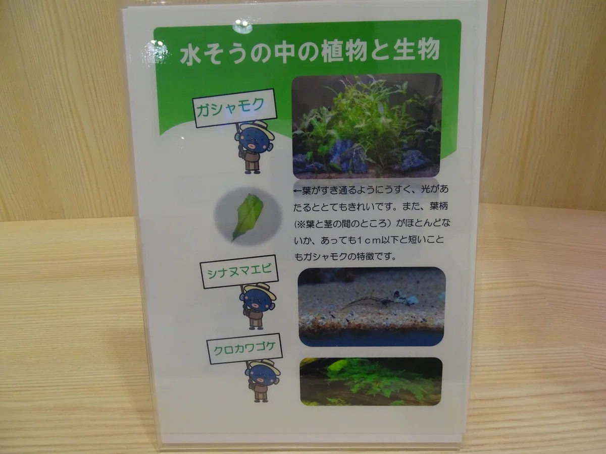 画像53