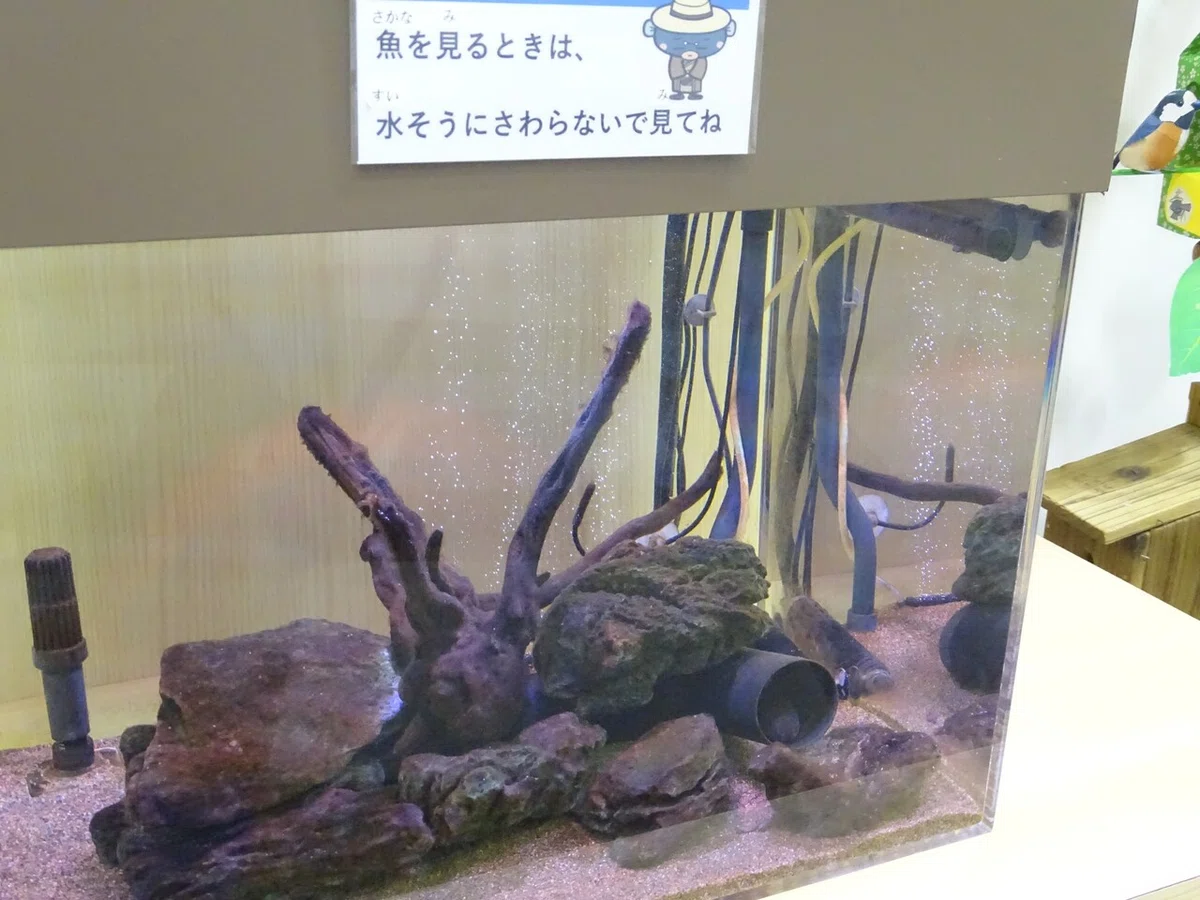 画像40