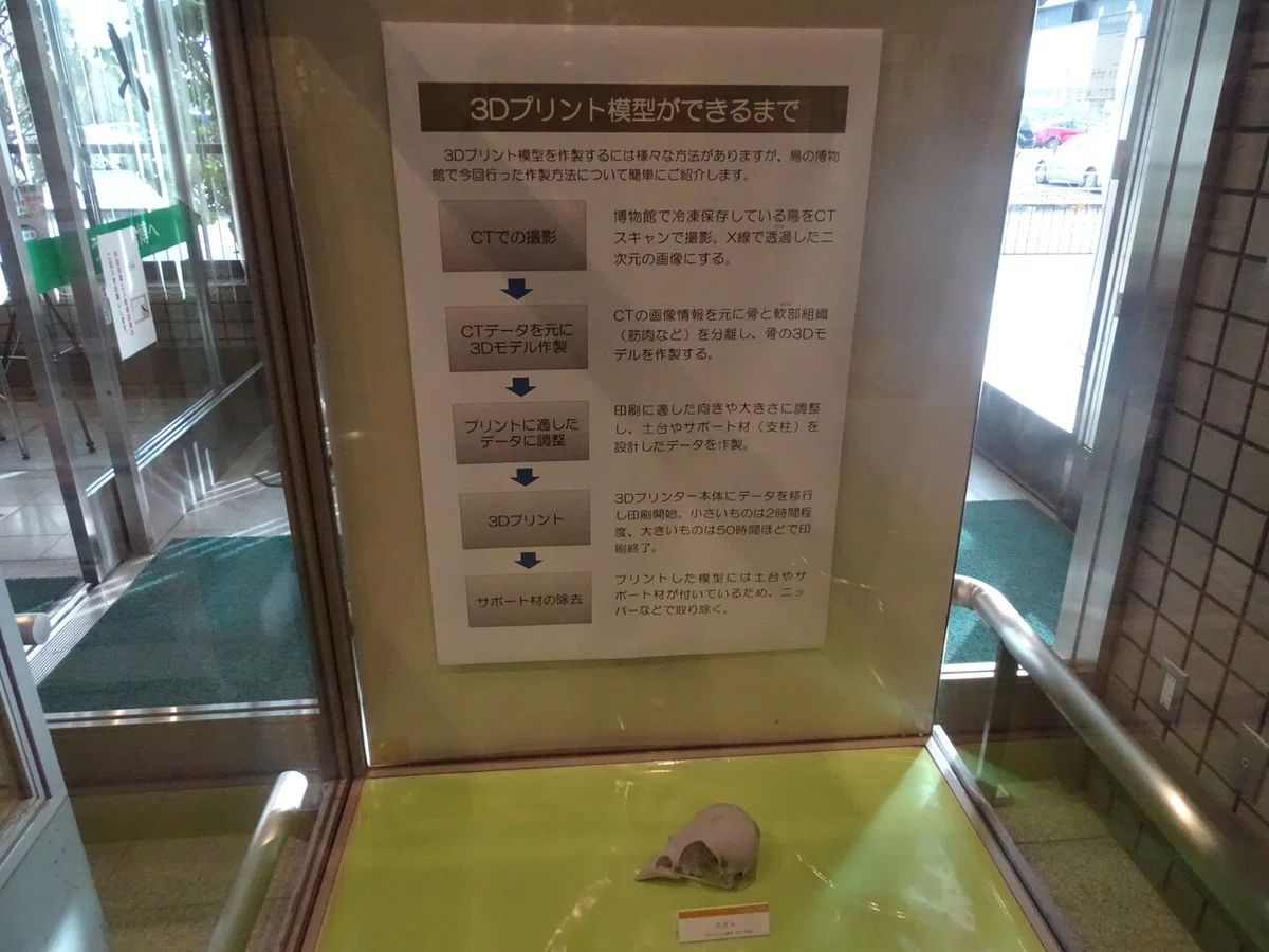 画像95