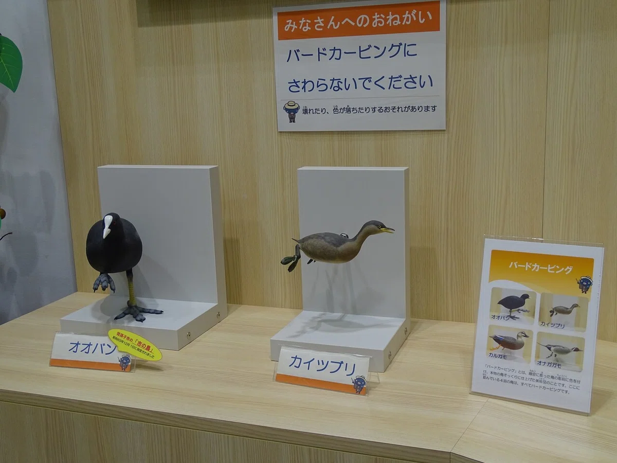 画像38