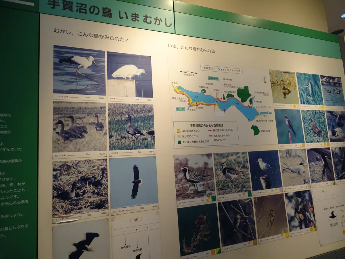 画像116