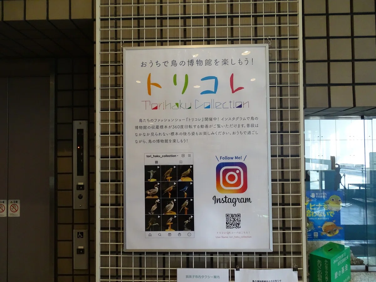 画像93