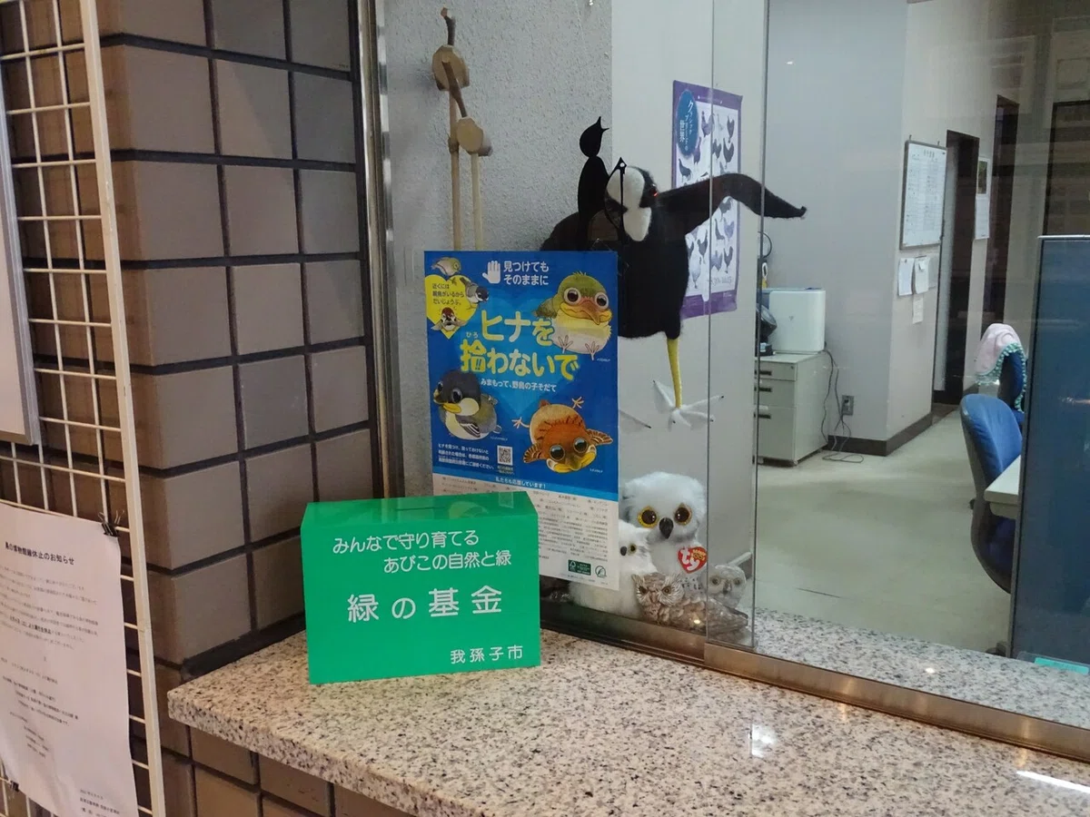 画像6
