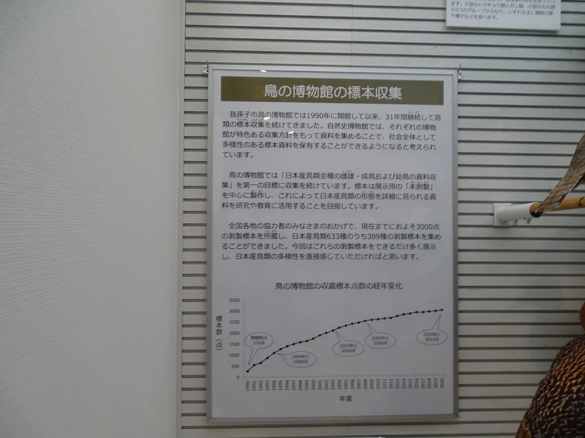 画像118