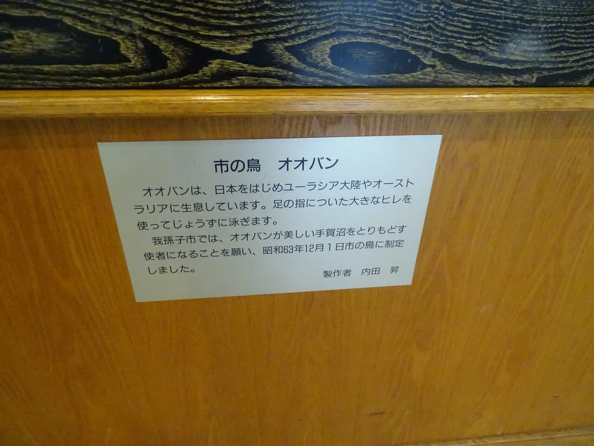 画像96