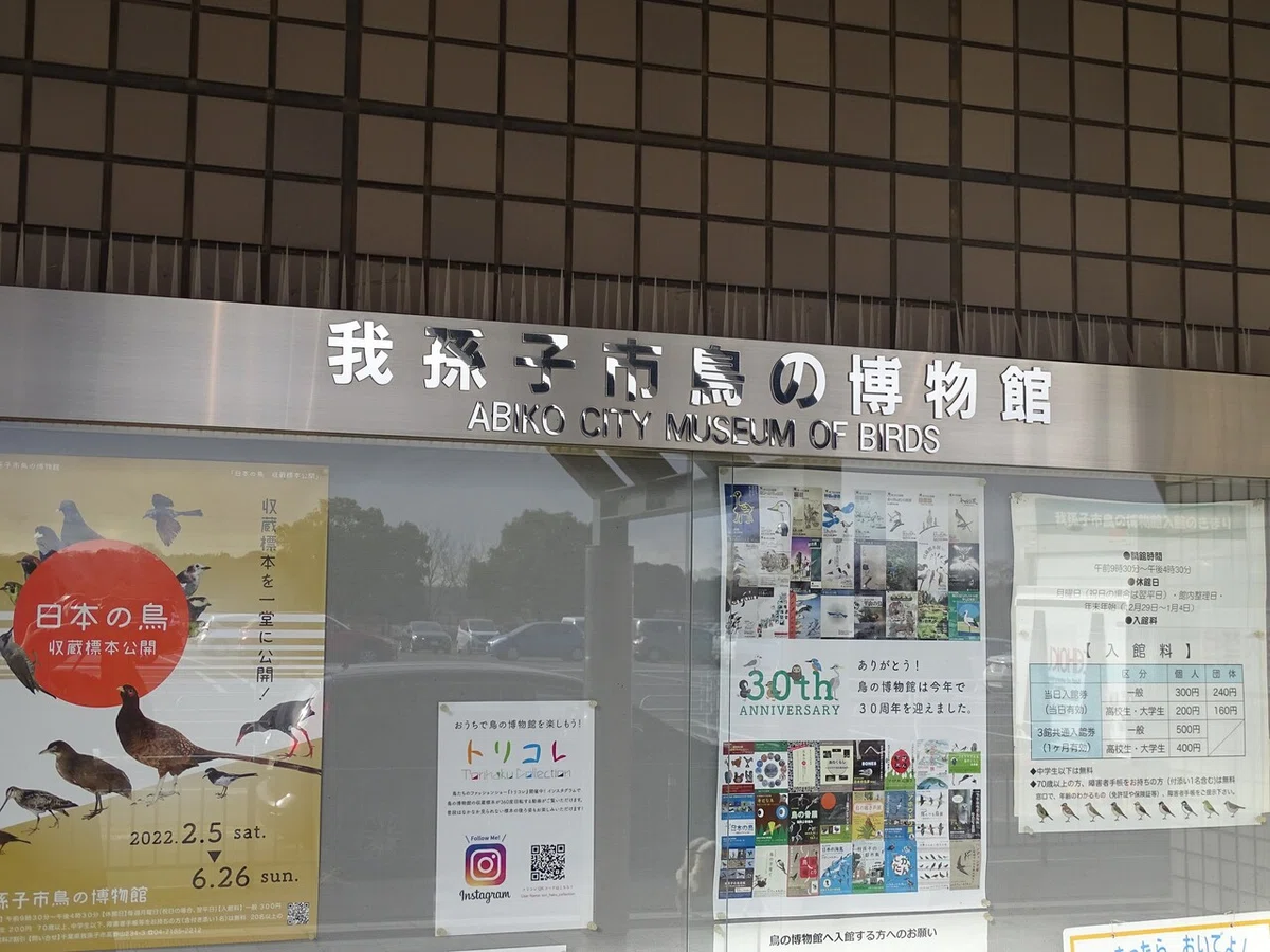 画像89
